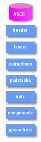 Sections in the ASCII Output