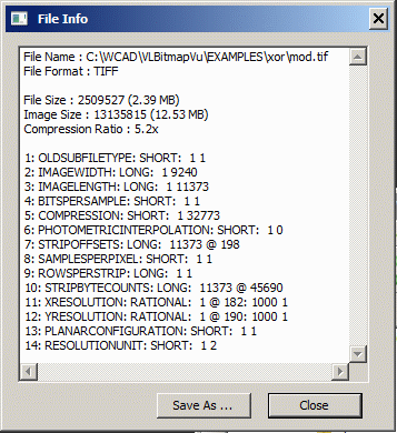 VLBV Info window reports the (active layer's) image header properties.