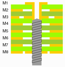 back drill