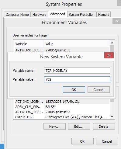 TCP_NODELAY Variable on Windows.