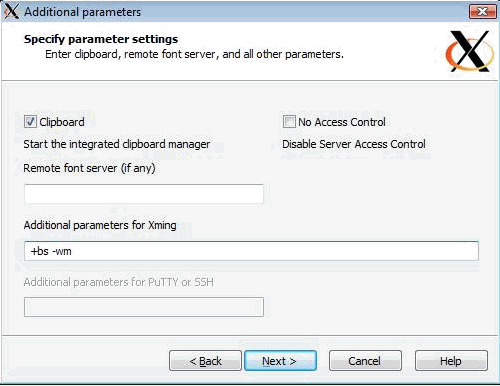 Make sure the parameters +bs and -wm are used when launching the Xming X-server